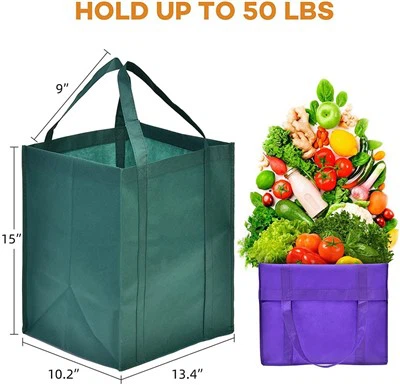 Bán buôn túi đi biển làm hài lòng eBay